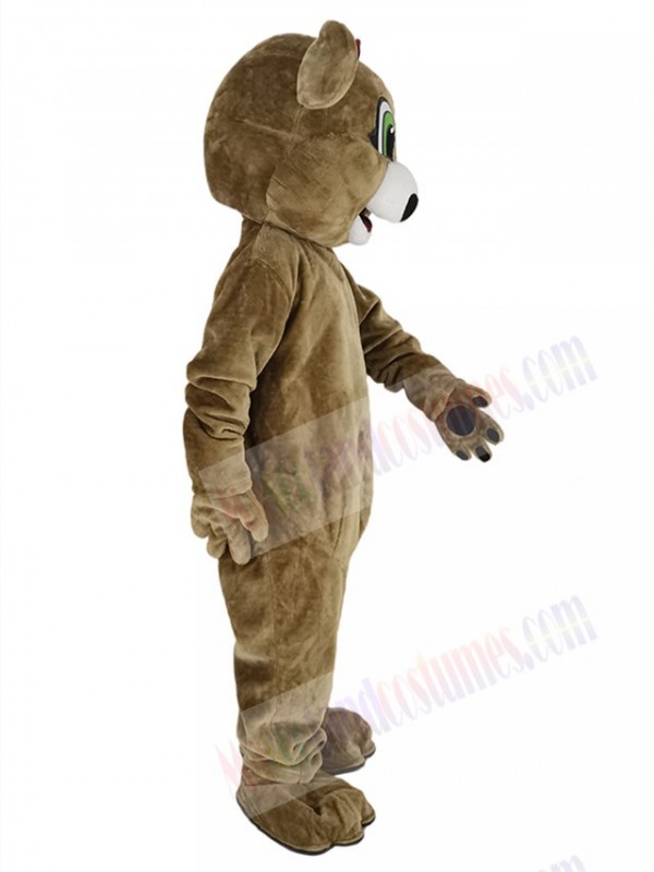 Bear mascot costume
