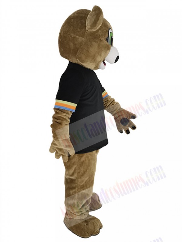 Bear mascot costume