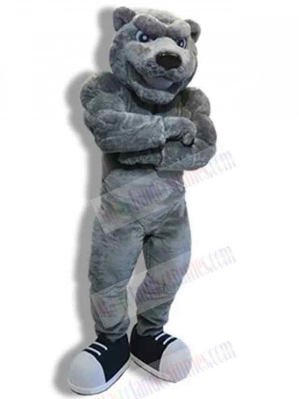 Bear mascot costume