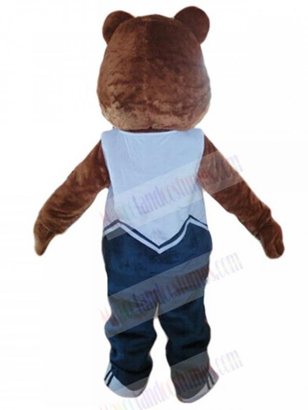 Bear mascot costume