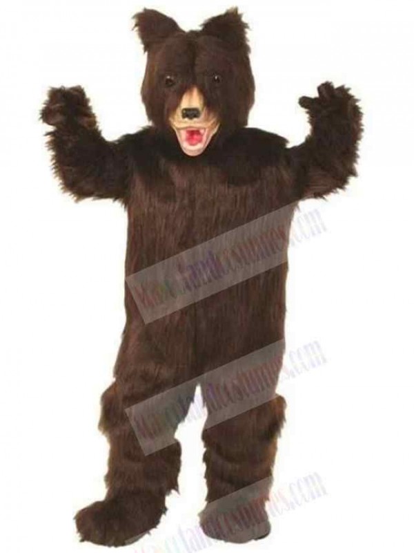 Bear mascot costume