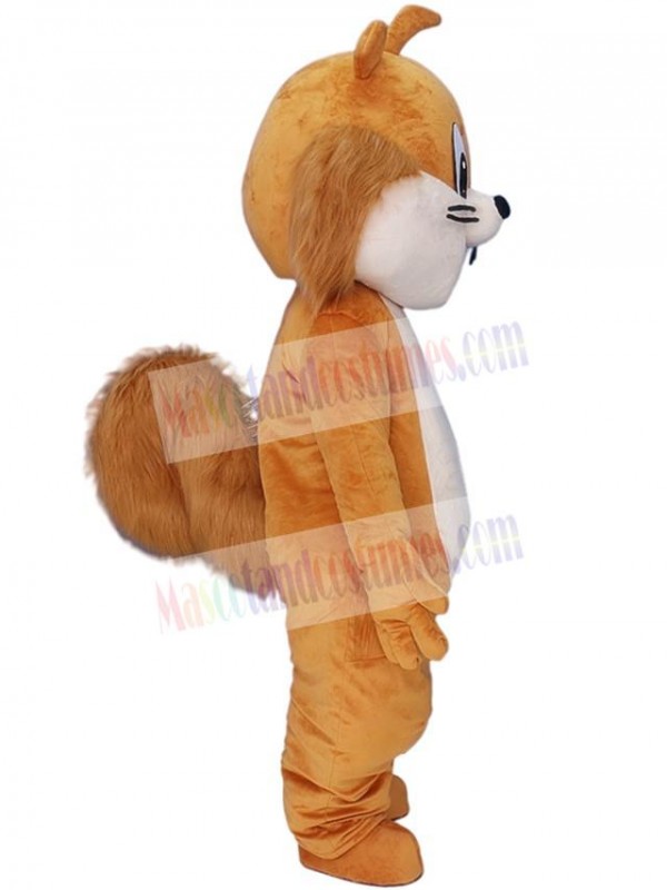 Chipmunk mascot costume