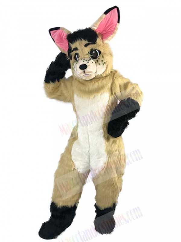 Rabbit mascot costume