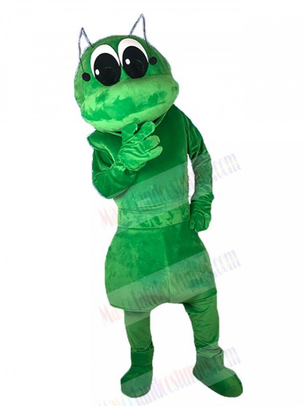 Ant mascot costume