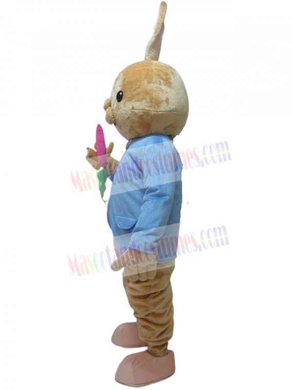 Rabbit mascot costume