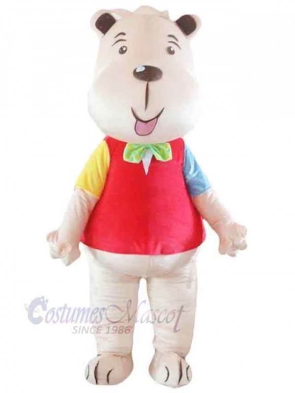 Bear mascot costume