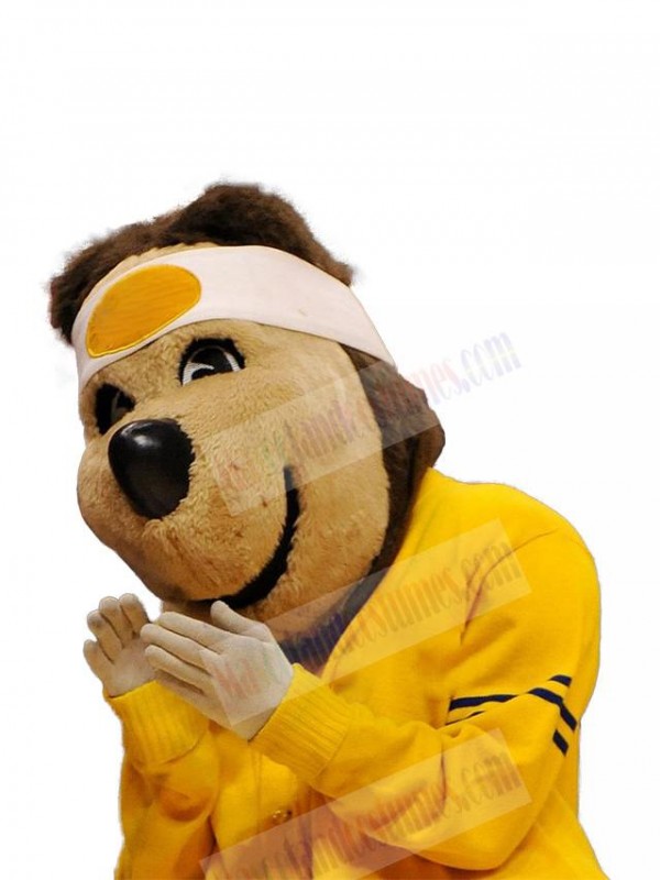 Bear mascot costume