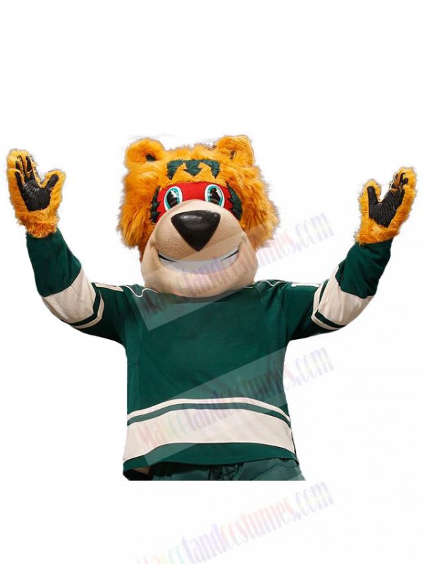 Bear mascot costume