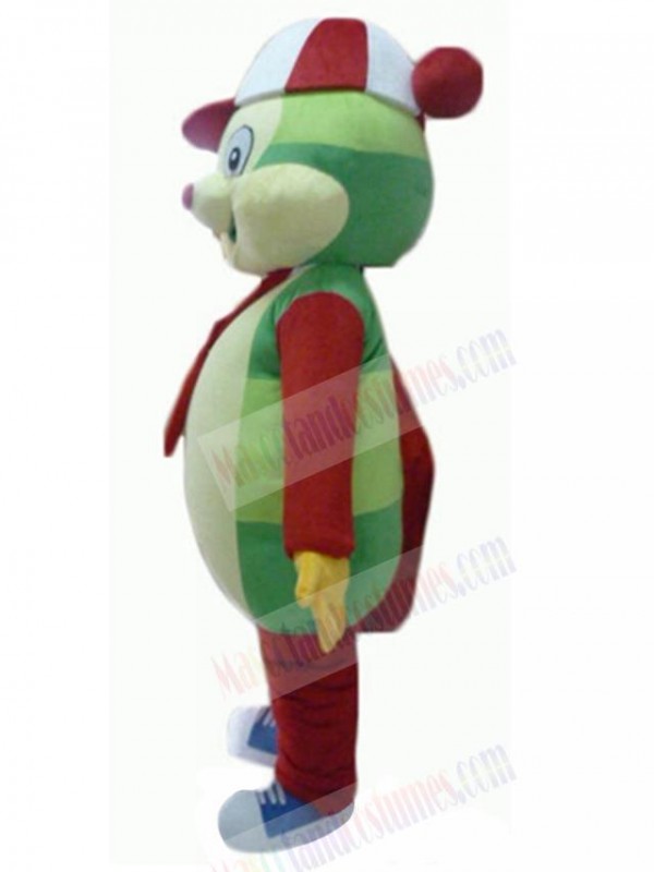 Bear mascot costume
