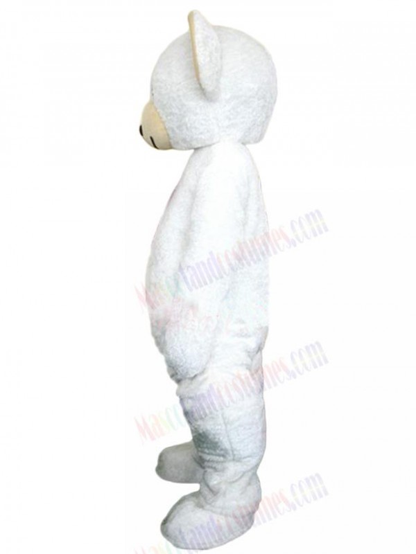 Bear mascot costume