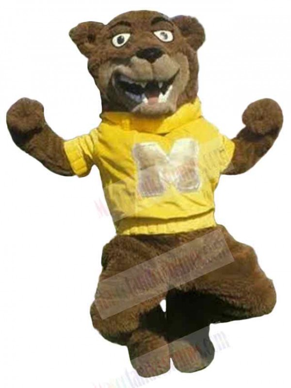 Bear mascot costume
