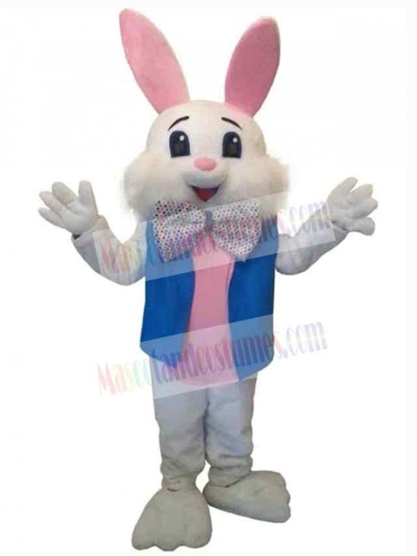 Easter Bunny Rabbit mascot costume