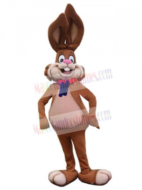 Easter Bunny Rabbit mascot costume