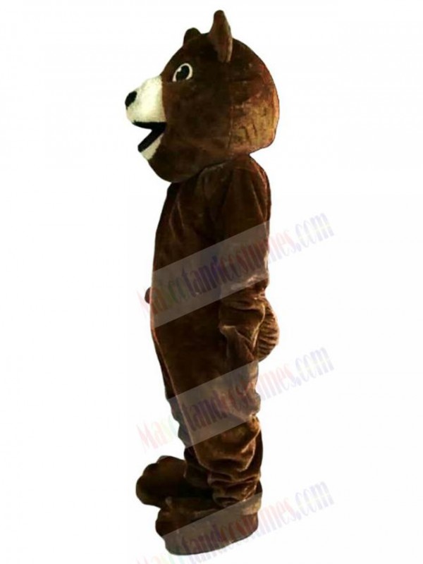 Bear mascot costume