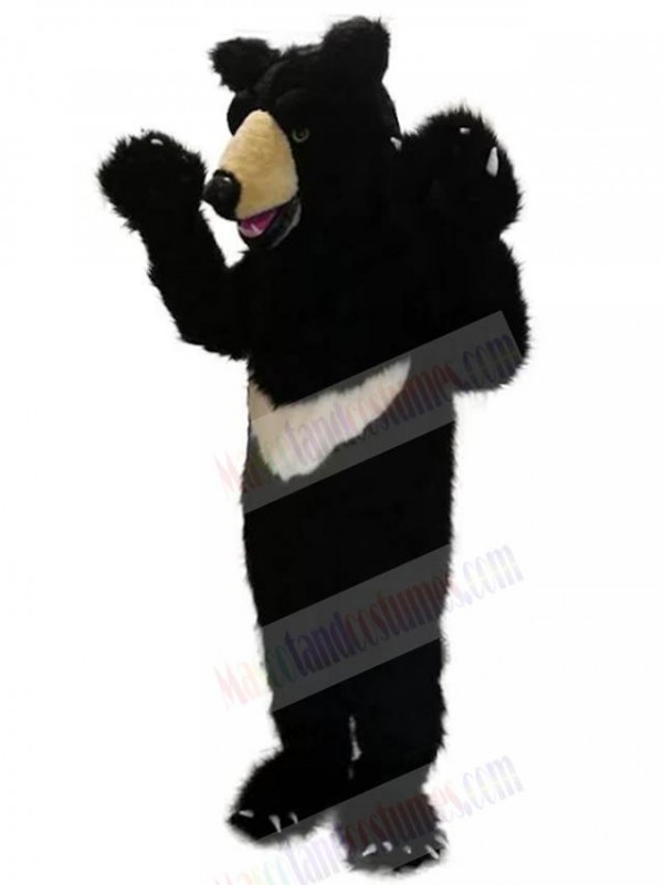 Bear mascot costume