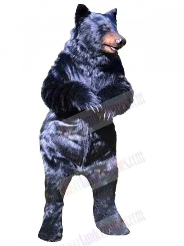 Bear mascot costume