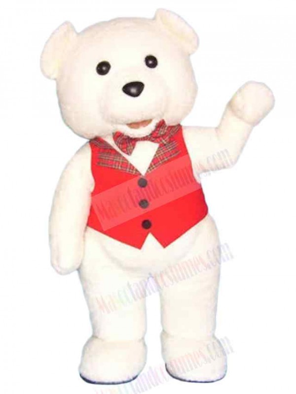 Bear mascot costume
