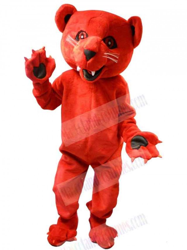 Bear mascot costume