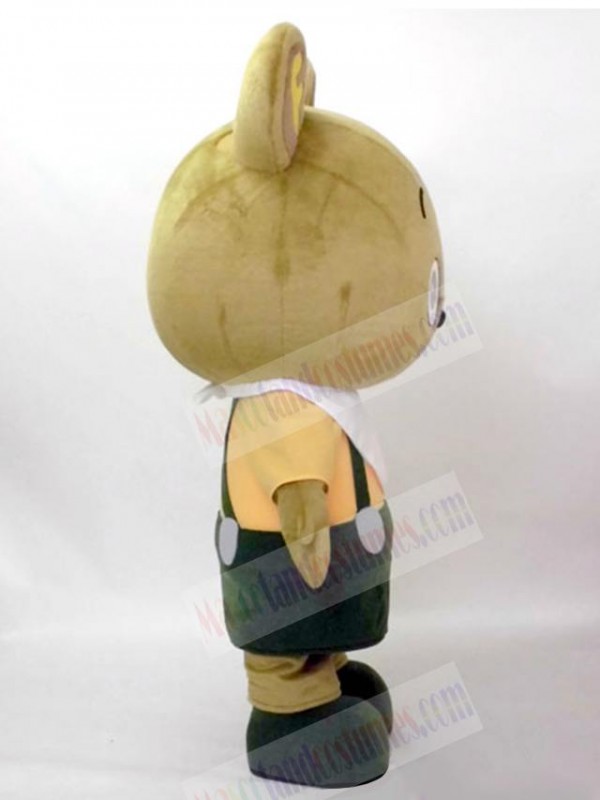Bear mascot costume