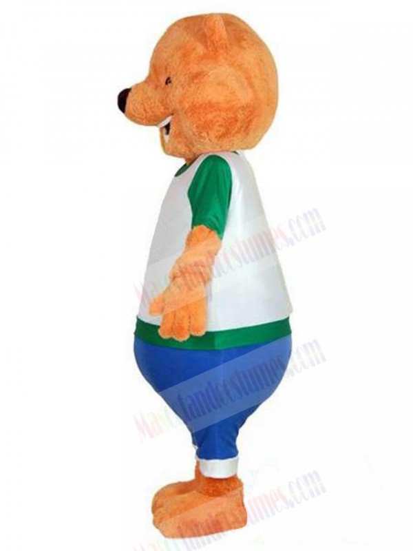 Bear mascot costume