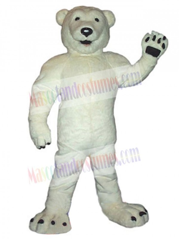 Bear mascot costume