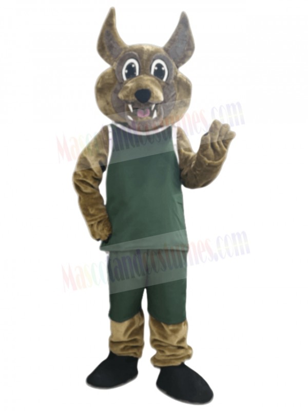 Coyote mascot costume